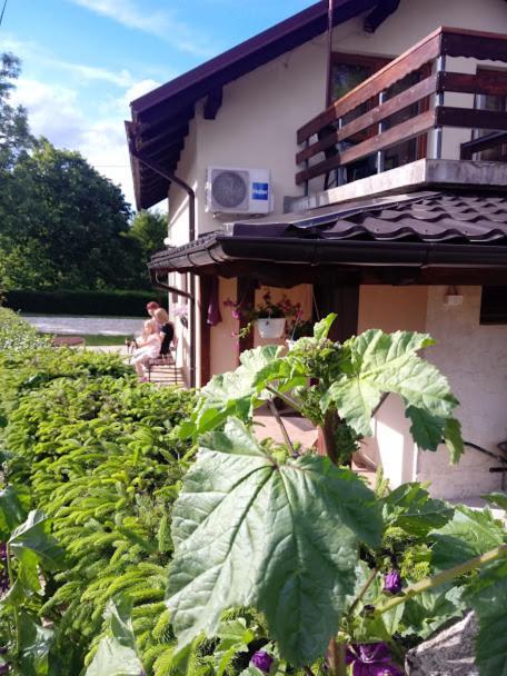 Guesthouse Marton Jezerce Luaran gambar